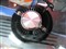Tt��ʷ��� (CL-P0391)��ƷͼƬ6