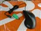 IBM IBM ScrollPoint Pro(31P8700)��ƷͼƬ3
