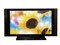 �ȷ�PDP-6010HD��ƷͼƬ2