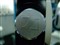 ɭ������HD205��ƷͼƬ5