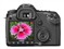 ����EOS 40D��ƷͼƬ6