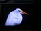 ��ά52L16HF��ƷͼƬ7