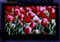 TCL L46M61F��ƷͼƬ6
