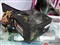 ����ս��460(eXtremePowerPlus 460W)��ƷͼƬ5