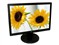 LG W1942T��ƷͼƬ1