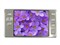 �к�i66(2G)��ƷͼƬ1
