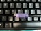 ��ѸSDM4800��ƷͼƬ4