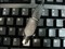 ��ѸSDL3600��ƷͼƬ2