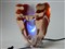 Tt V1 (CL-P0401)��ƷͼƬ6