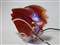 Tt V1 (CL-P0401)��ƷͼƬ7