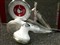 Ŧ��B06(256MB)��ƷͼƬ5