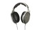 ɭ������HD650���ͼƬ1