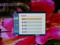 ����T190��ƷͼƬ7