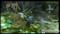 Wii��Ϸ�����ﴫ˵-�ƻ蹫��(The Legend of Zelda: Twilight Princess)��ƷͼƬ2