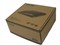 TPOS����ʽUSB COMBO(20X813)��ƷͼƬ2