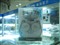 ����RP-HX50��ƷͼƬ3