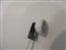 ������ATH-C100M��ƷͼƬ8