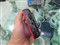 ·��P628��ƷͼƬ4