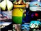 Lomo Holga 120 GCFN  ©���ʦ��ƷͼƬ1