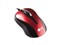 LG XM-120��ƷͼƬ1