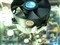 AVC��ɪ����ƷͼƬ8