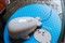��֥Portege M806��ƷͼƬ8