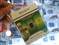 ����Memory Stick Micro M2 (1G)��ƷͼƬ4