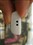 ����VX898+(2GB)��ƷͼƬ8