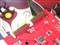 ���NHD4850�ŷɰ��ƷͼƬ5