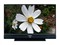 JVC HD-Z61RF7��ƷͼƬ1