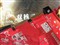 ����HD4850 512M DDR3����֮����ƷͼƬ2