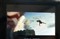 ����PMX-U55(2GB)��ƷͼƬ5