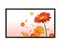 NEC LCD4615��ƷͼƬ1
