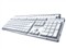 ����PLEOMAXˮ������ PKB-7000X �ײ�ƷͼƬ1