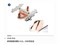 Tt BigWater770(CL-W0187)��ƷͼƬ8
