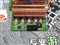 �����ӽ��9800GTX+ -512D3���ٰ��ƷͼƬ5