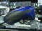 ��ͨ��ͨ���ڼ���� BTP-2008��ƷͼƬ4