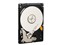 ��������500G/5400ת/8M/����/�ʼǱ�(WD5000BEVT)��ƷͼƬ1