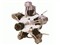 ��ҶFS400AR��ƷͼƬ1