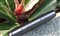 HTO G990��ƷͼƬ7