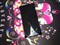 ���մ�Touch Diamond S900��ƷͼƬ4