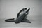 ˼��CP-7941G��ƷͼƬ3