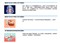 ����EW1035G��ƷͼƬ2
