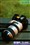 ����70-400mm F4-5.6 G SSM��ƷͼƬ8