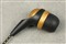 ��˹KDX300 GOLD���ͼƬ3