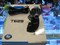 ��ɫ����T629PRO��ƷͼƬ5