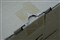 NEC LCD2490WUXi2��ƷͼƬ6