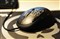 �޼�G500���ͼƬ3