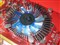 ���Geforce G210��ħ���ڰ��ƷͼƬ6
