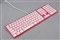 �¹����š���Ʒ�Ųʰ�(KB880U)��ƷͼƬ3